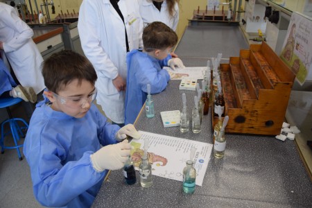 TFNiS 2024 - Chemiczny sezam [fot. Magdalena Barwiołek]